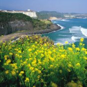 jeju island