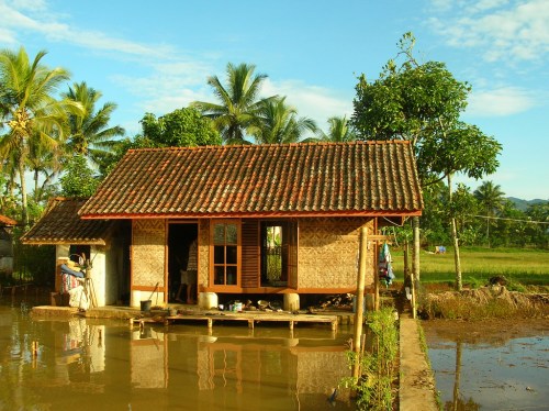 140078723_a2eaa28f66_b