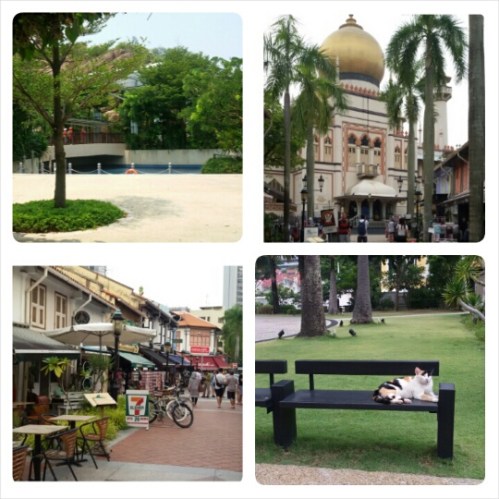 PhotoGrid_1412512573403_resized