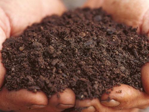 RX-DK-CFP04401_loam-base-soil_s4x3.jpg.rend.hgtvcom.966.725