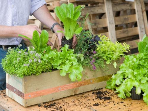 RX-DK-SSH04503_fill-herb-planter_s4x3.jpg.rend.hgtvcom.966.725