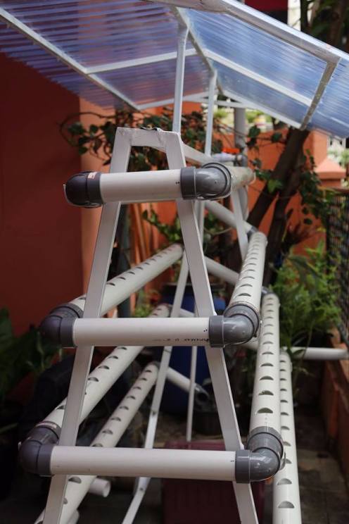 12718233_1151905391494845_4372476459526705828_n