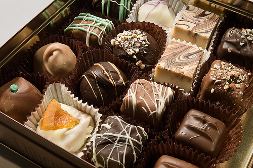 2955728583_359989d5f7