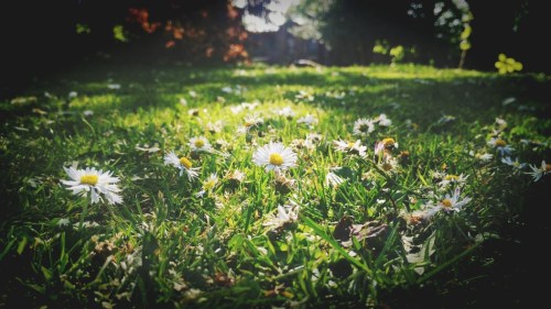 C360_2017-06-11-14-13-32-940